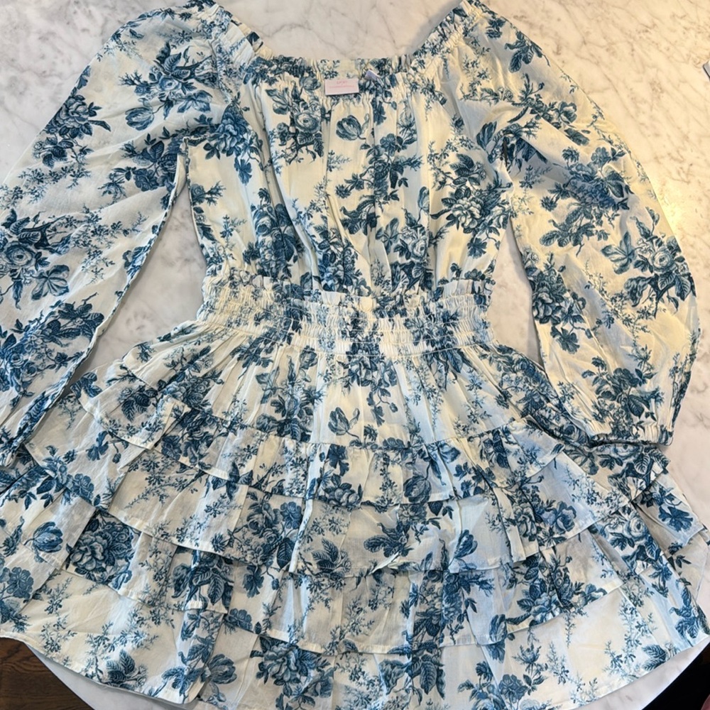 Love Shack fancy or gap dress